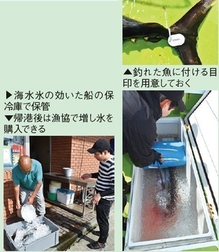 魚の保存方法の写真