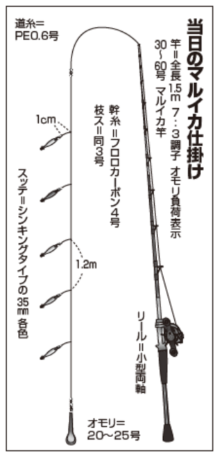 当日のマルイカ仕掛け