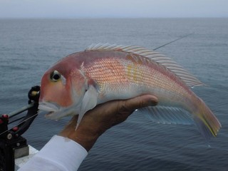 釣果