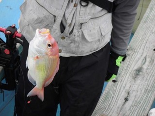 釣果