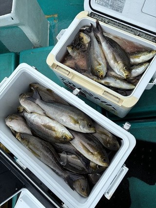 釣果