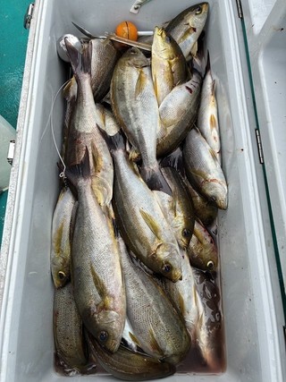 釣果