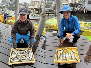【釣果速報】神奈川県荒川屋でアジ入れ食い！サバ・イシモチも！好調な今シーズン、自己最高記録を狙ってみませんか？