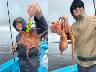 【釣果速報】千葉県林遊船はキロオーバーのマダコがじゃんじゃん釣れてるってウワサ！大型タコを狙いたいなら今スグに乗船を！