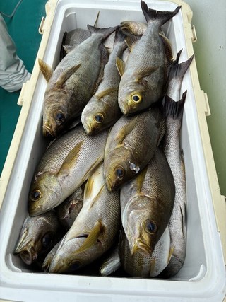 釣果