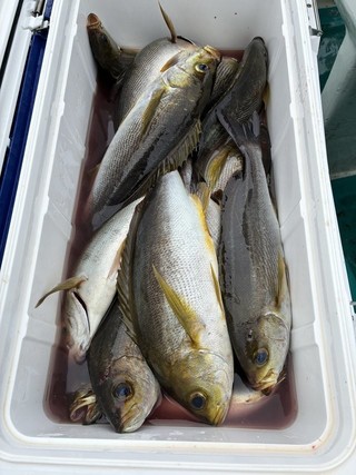 釣果