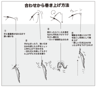 合わせから巻き上げ方法