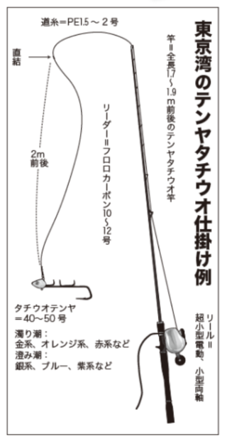 東京湾のテンヤタチウオ仕掛け例