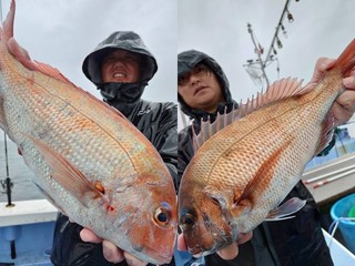 【釣果速報】茨城県幸栄丸でマダイやハマダイを好調にゲット！大鯛らしきヒット、すぐに狙いに行って！        
