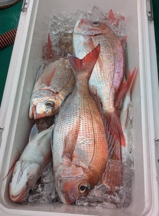 釣果
