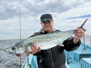 【釣果速報】80cmサワラ＆50cmサゴシGET！愛知県正将丸で人気青物の強烈な引きを感じよう！        