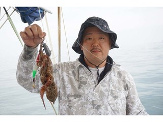 【釣果速報】兵庫県Bon Voyageでマダコキャッチ！3.30kgの大物も！一度釣るとクセになるタコ釣りはこの夏絶対挑戦して！