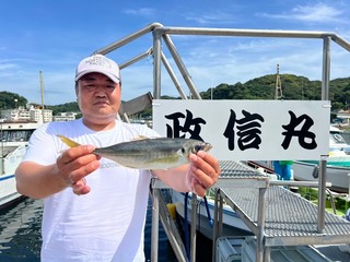 【釣果速報】神奈川県政信丸のアジの釣果がバズってる！竿頭110匹！釣れすぎて笑いが止まらない釣行を体験してみませんか？