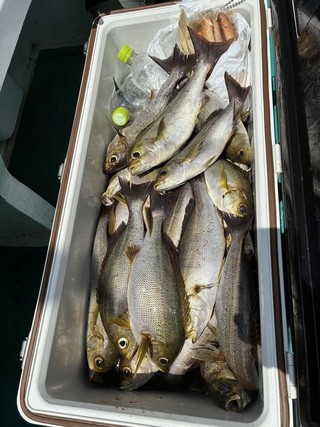 釣果