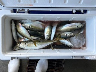釣果