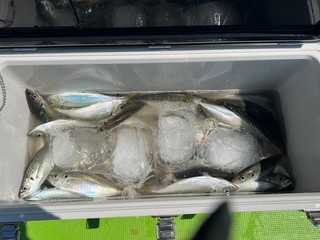 釣果