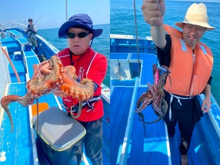 【釣果速報】神奈川県池田丸でマダコ釣り好調！日に日に釣果が上向きに！爆釣のビッグウェーブに乗ろう！