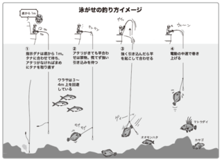 泳がせの釣り方イメージ