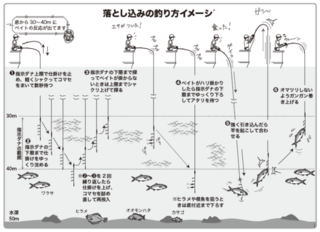落とし込みの釣り方イメーシ&#12441;