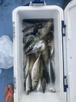 釣果