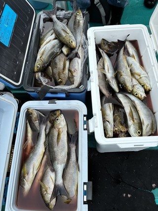 釣果