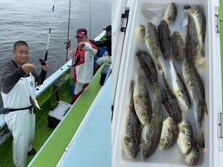 【釣果速報】TOP40匹のショウサイフグ上がる！神奈川県野毛屋釣船店であなたも数釣りを楽しもう！