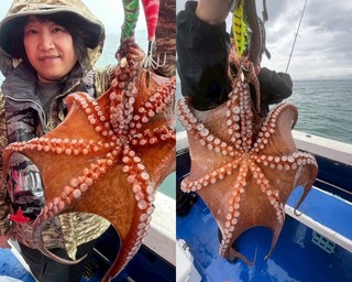 【釣果速報】兵庫県海蓮丸で全員マダコGET達成！90cmの巨大タコも！好調の今、ぜひ乗船予約を！