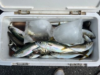 釣果