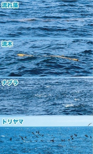 ポイントの写真