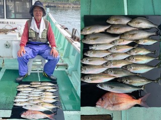【釣果速報】下げ潮×朝マズメ！和歌山県淡隆丸でマアジ合計15匹！合間にマダイ・マサバなど絶好調！狙うなら今がチャンス