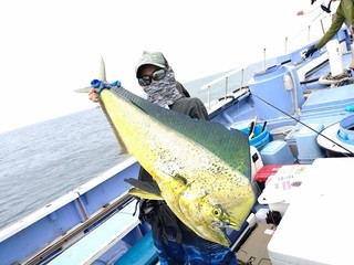 【釣果速報】神奈川県丸伊丸で121cmのド迫力シイラゲット！人気魚種を一気獲りしに行きませんか？！