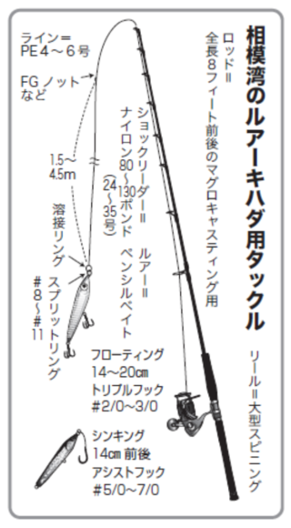 相模湾のルアーキハダ用タックル