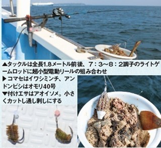エサ、タックルなどの写真