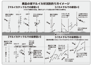 鹿島の夜マルイカ状況別釣り方イメージ