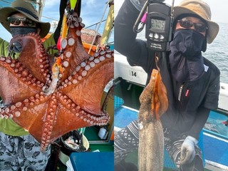 【釣果速報】兵庫県海蓮丸でタコキャッチ！最大70cm！一度釣るとクセになるタコ釣りはこの夏絶対挑戦して！