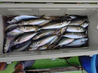 釣果