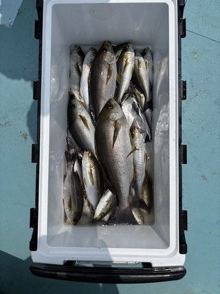 釣果