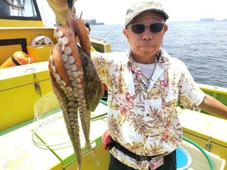 【釣果速報】神奈川県鴨下丸kawanaでマダコ乗り乗り！女性の方もツ抜け達成！良型も多く今が釣りドキ！        