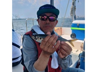 【釣果速報】東京都船宿豆やでアジトップ70匹！記録更新が狙える今はサイズも良型でとってもおトク！