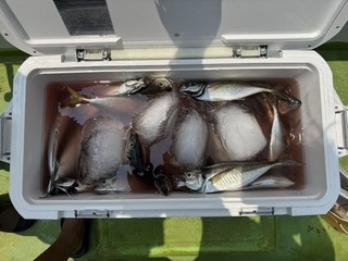 釣果