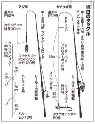当日のタックル