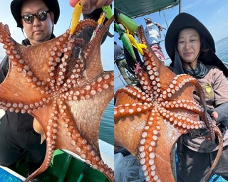 【釣果速報】兵庫県海蓮丸で全員マダコGET達成！80cmの巨大タコも！好調の今、ぜひ乗船予約を！