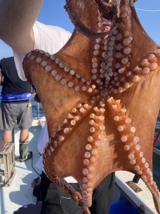 釣果