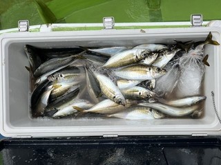 釣果