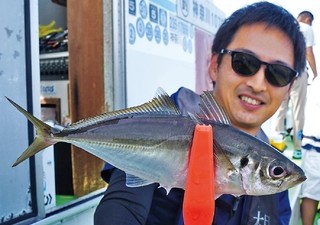食べておいしい中型ぞろい　東京湾のライトアジ夏モードへ