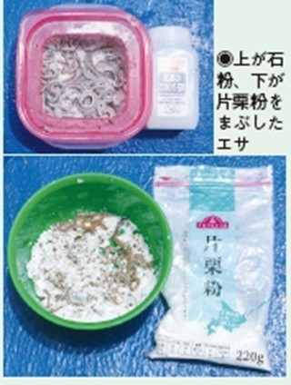 アイテムの写真