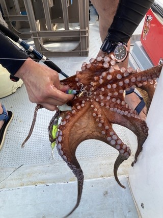 釣果