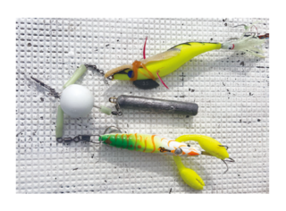 集タコ効果あり？