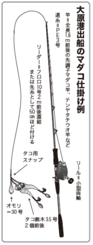 大原港出船のマダコ仕掛け例
