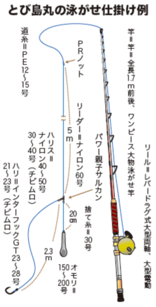 とび島丸の泳がせ仕掛け例